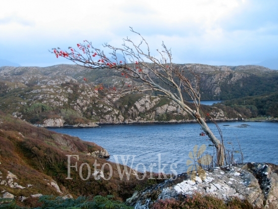 On the road to Achmelvich
