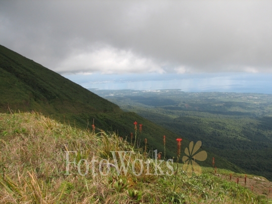 La Soufrière, vue sur Grande-Terre