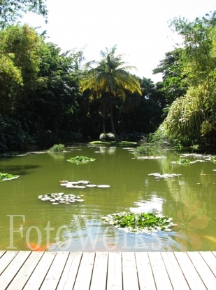 Botanic Garden of Deshaies