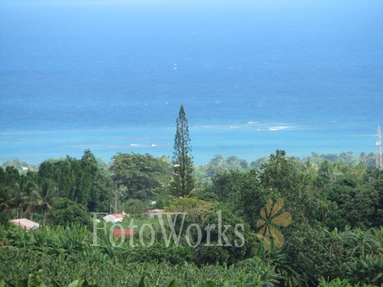 View from Plantation Grand-Café