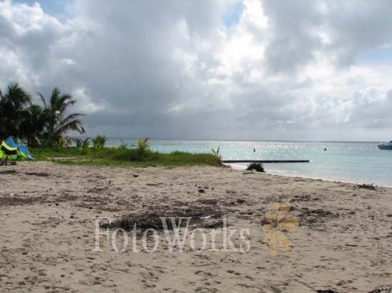 Islet Caret