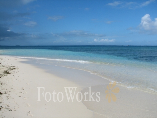 Islet Caret