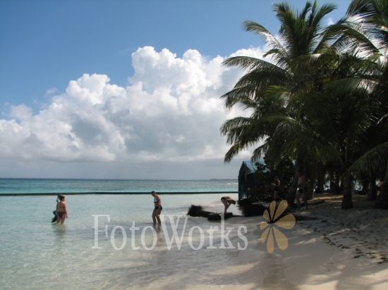 A swim on the Islet Caret