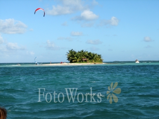 Islet Caret