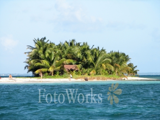 Islet Caret