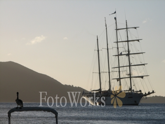 Pelican and four masts