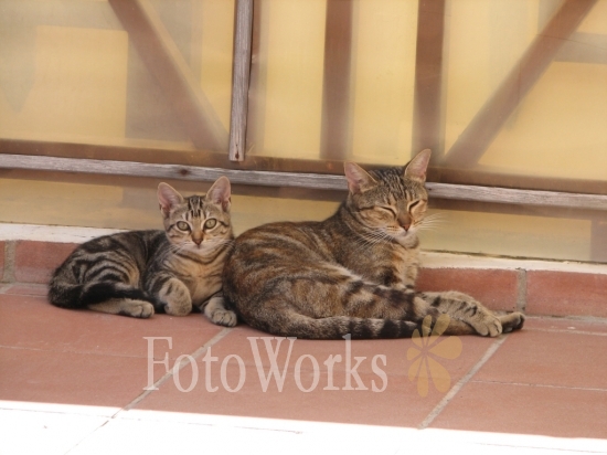 Mother and son