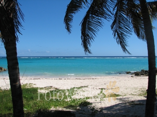 Feuillère Beach, Marie-Galante