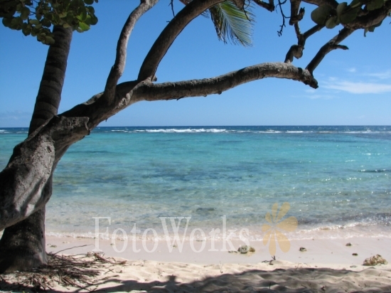 Petite Anse Beach, Marie-Galante