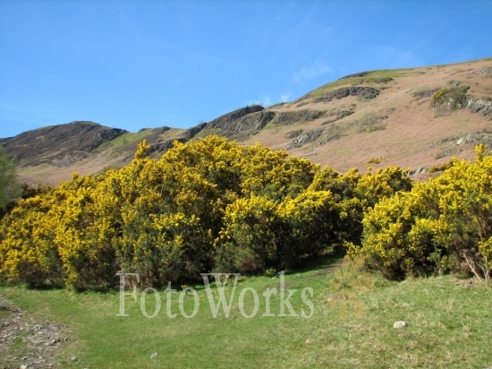 Autour de Derwent Water