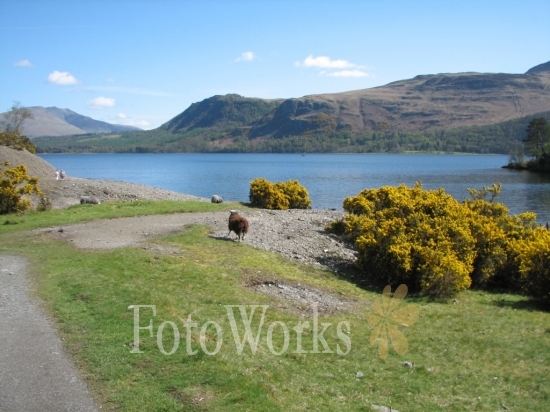 Around Derwent Water