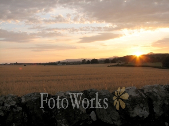 Sunset on fields