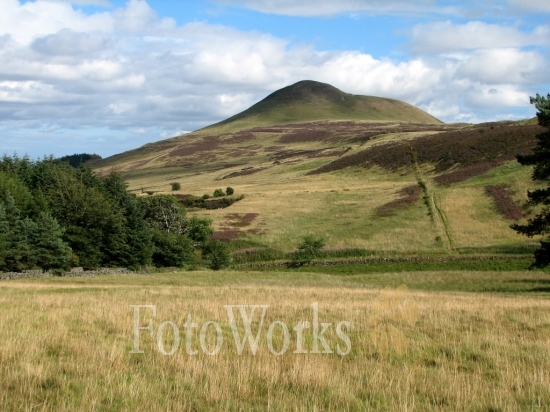Walking on West Lomond Hill
