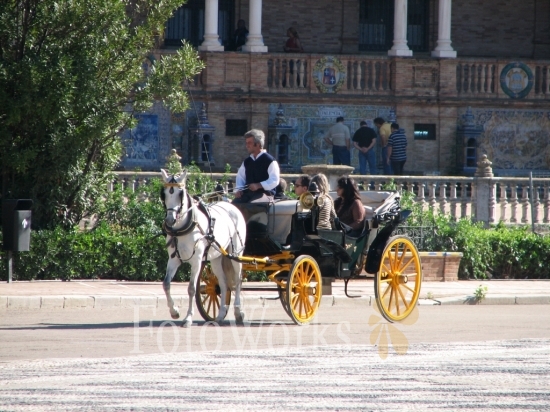 Une calèche, Plaza de Espana