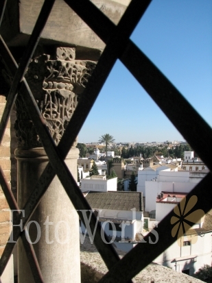 Derrière les barreaux de la Giralda