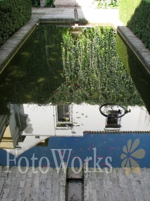 Reflection at the Alcazar