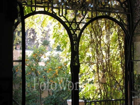 Jardins de l'Alcazar