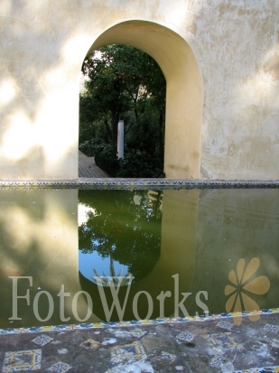 Reflet à l'Alcazar