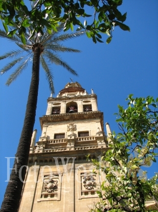Le minaret de la Mezquita, Cordoue