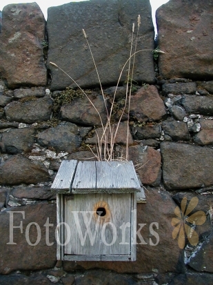 Une maison d'oiseaux, Ecosse