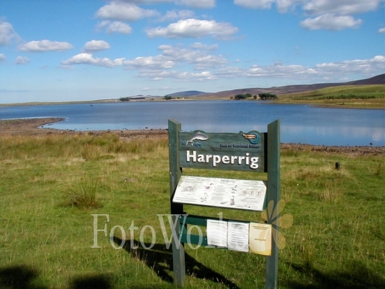 Harperrig, near Edinburgh