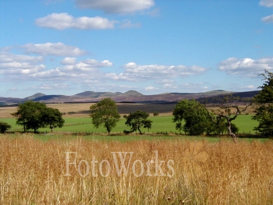 Near Balerno
