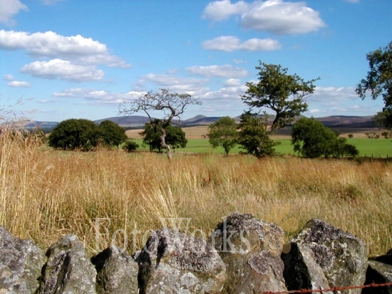 Vers Balerno
