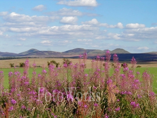 Vers Balerno