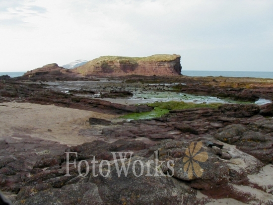 Sea Cliff Beach