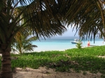 Islet Caret