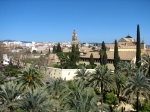 View from the Alcazar ramparts